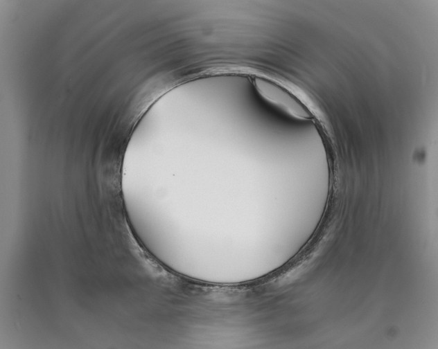 X0000089930905200707271755