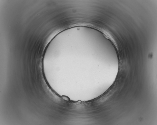 X0000089930906200707271755