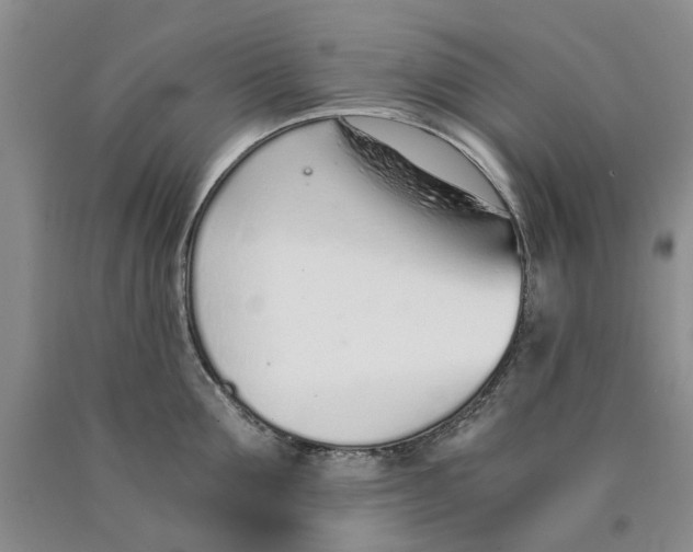 X0000089930907200707271755