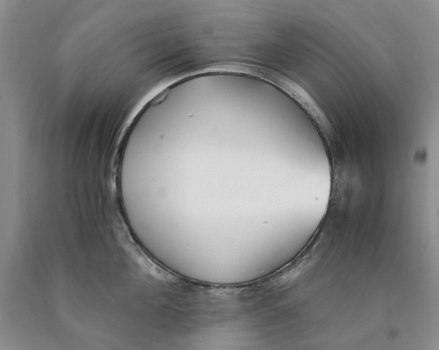 X0000089930908200707271755