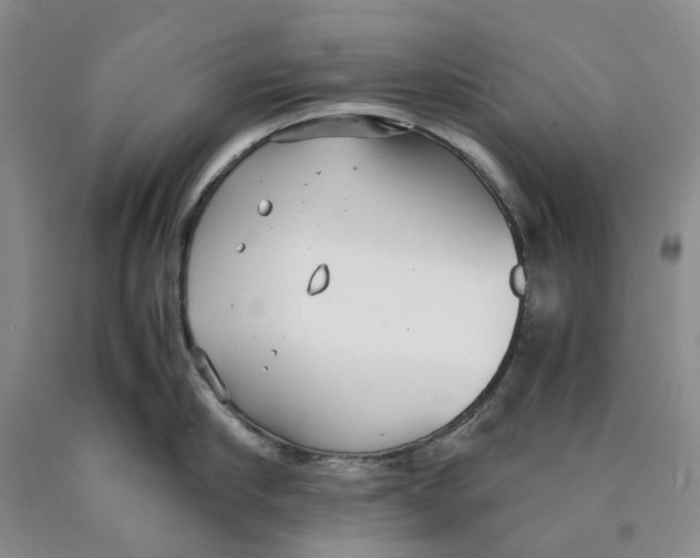 X0000089930910200707271755