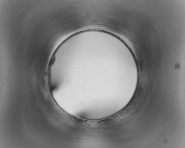 X0000089930911200707271755