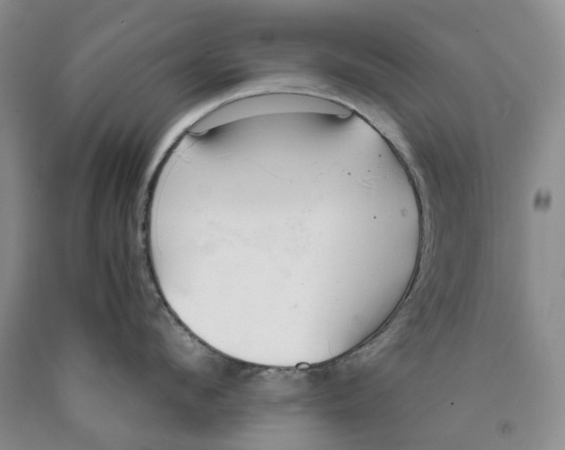 X0000089930912200707271755