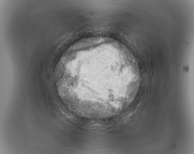 X0000089930913200707271754