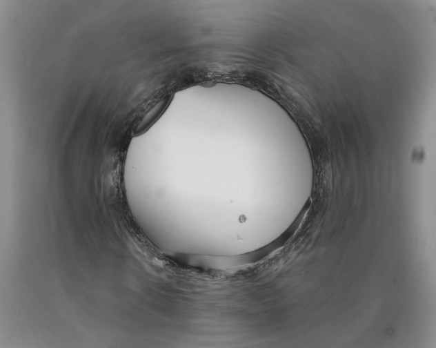 X0000089930914200707271754