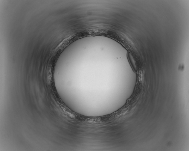 X0000089930915200707271754