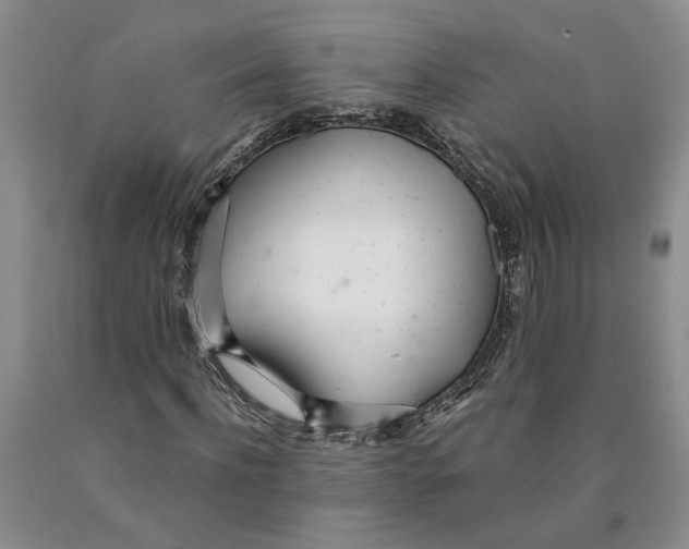 X0000089930916200707271754