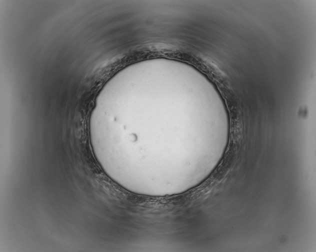 X0000089930917200707271754