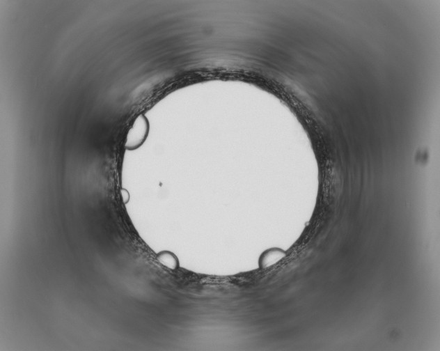 X0000089930918200707271754