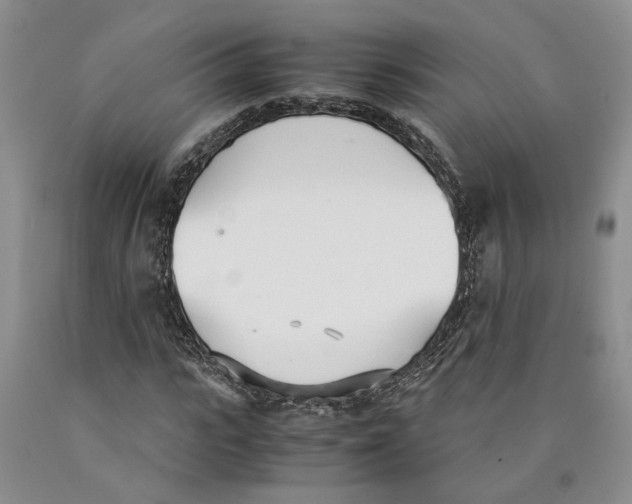 X0000089930919200707271754