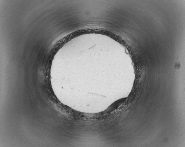 X0000089930920200707271754