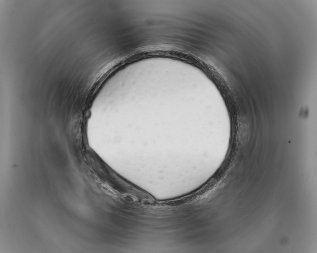 X0000089930921200707271754