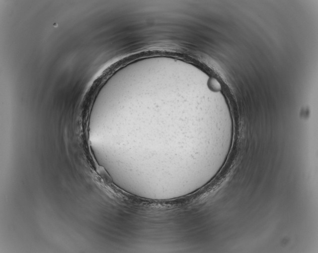 X0000089930923200707271754