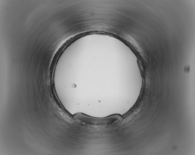 X0000089930924200707271754