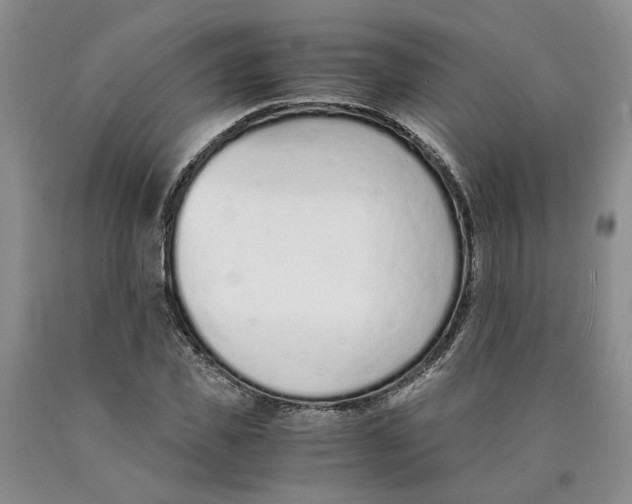 X0000089930925200707271754