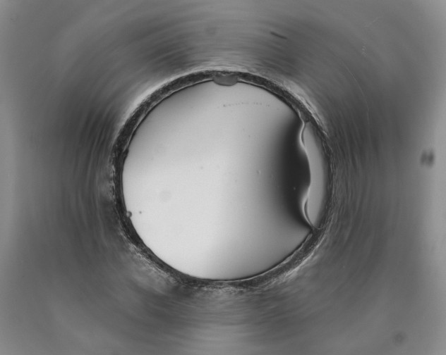 X0000089930926200707271754