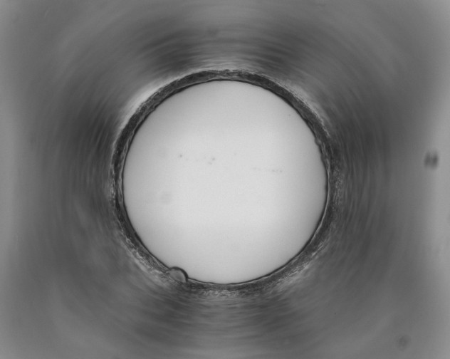 X0000089930927200707271755