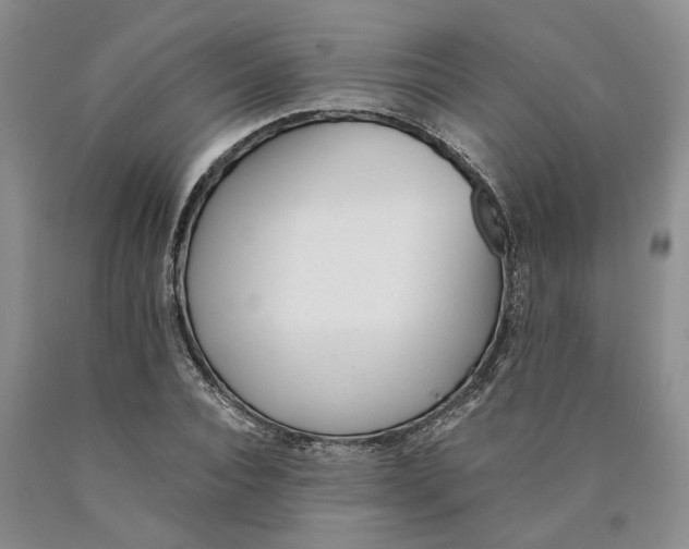 X0000089930928200707271755