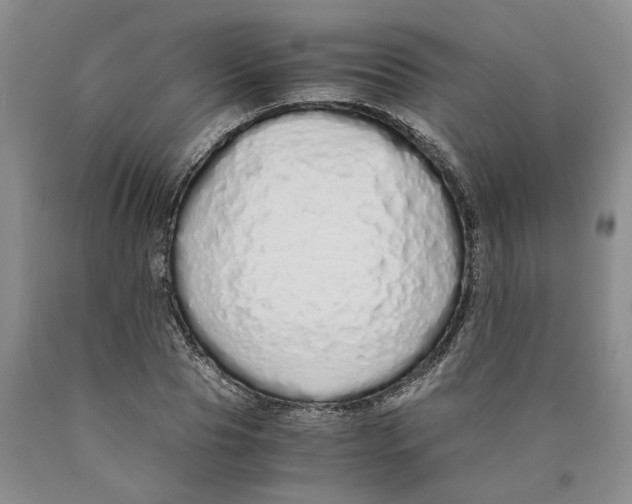 X0000089930929200707271755