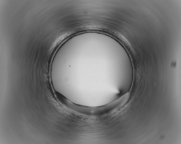 X0000089930930200707271755