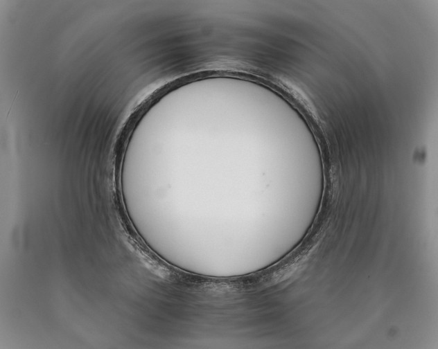 X0000089930931200707271755