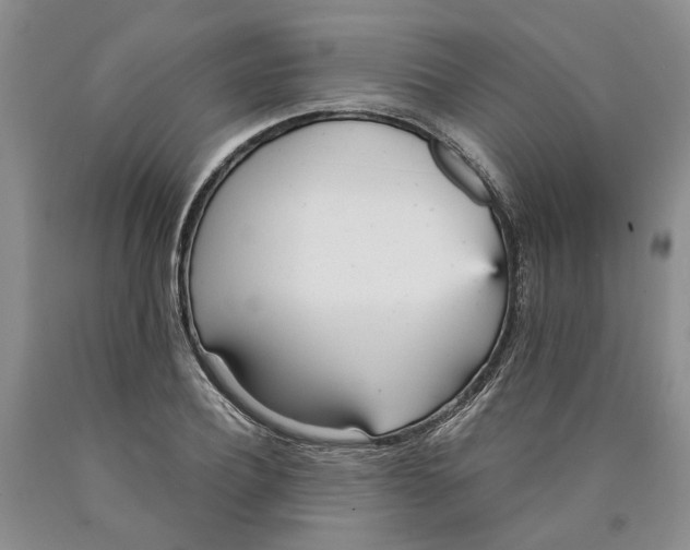 X0000089930932200707271755