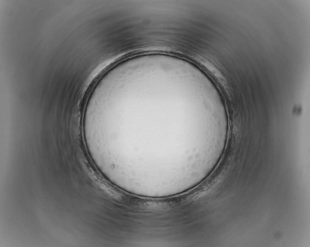 X0000089930933200707271755