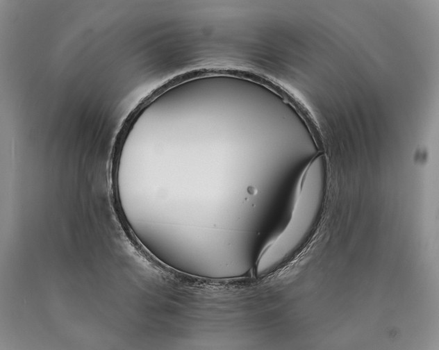 X0000089930935200707271755