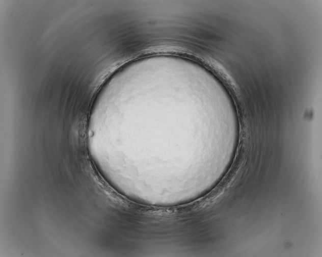 X0000089930937200707271755