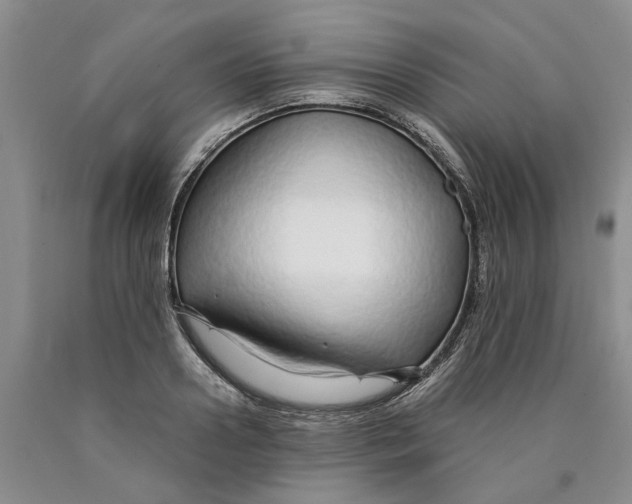 X0000089930938200707271755