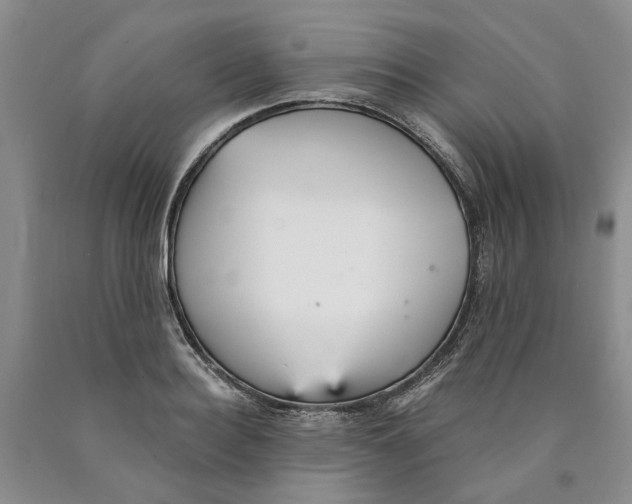 X0000089930940200707271755