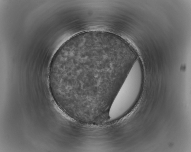 X0000089930941200707271755