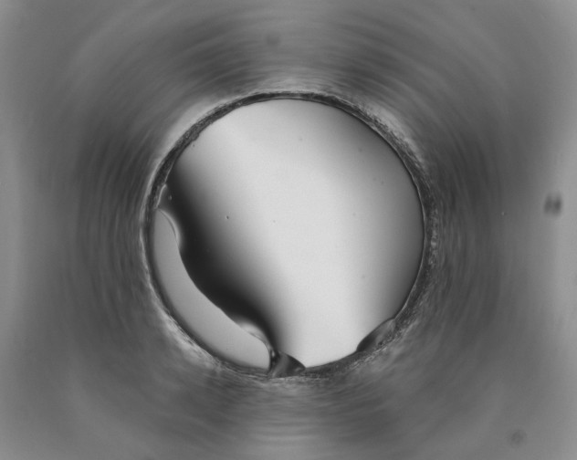 X0000089930942200707271755