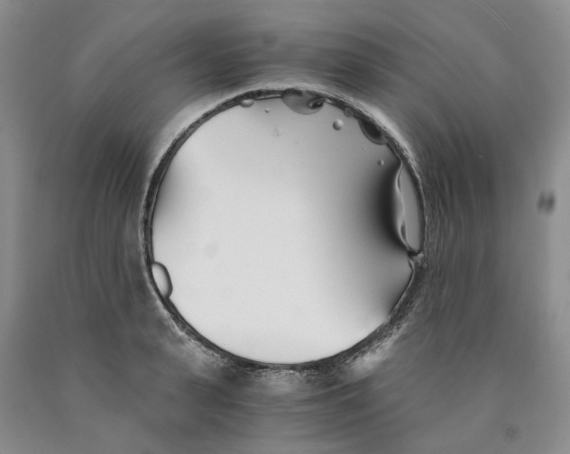 X0000089930943200707271755