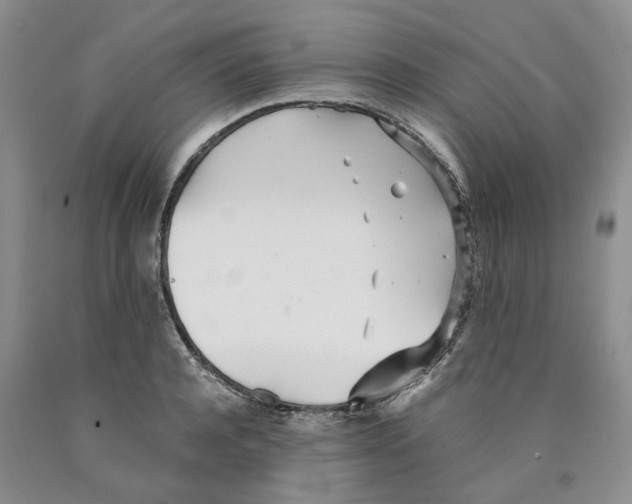 X0000089930944200707271755