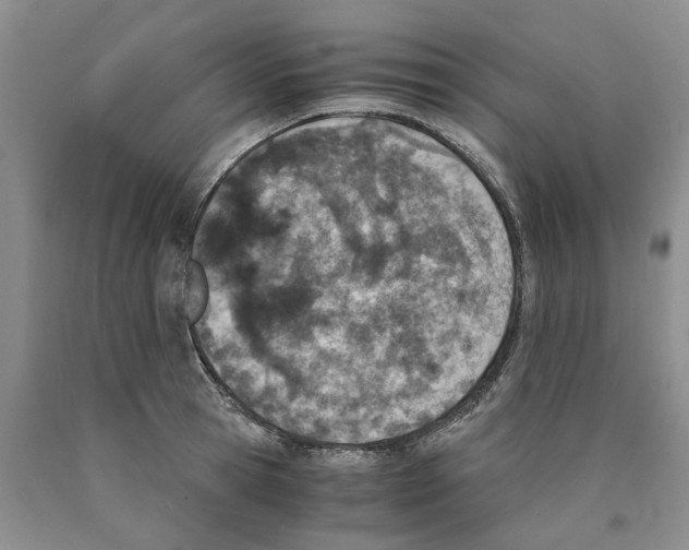 X0000089930945200707271755