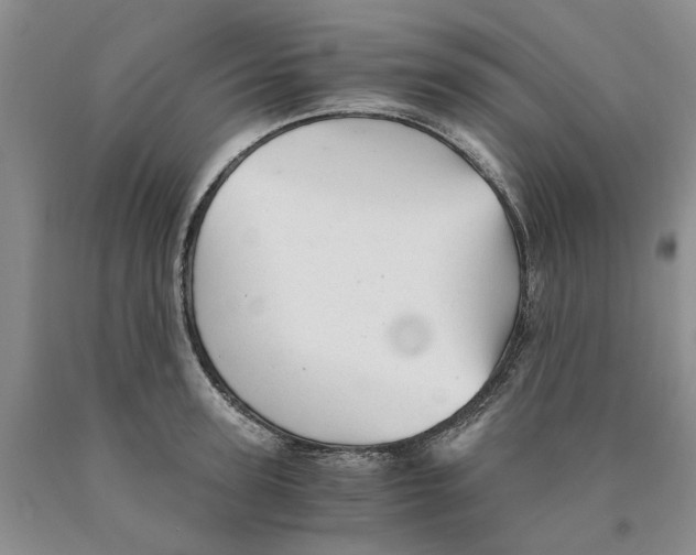 X0000089930947200707271755