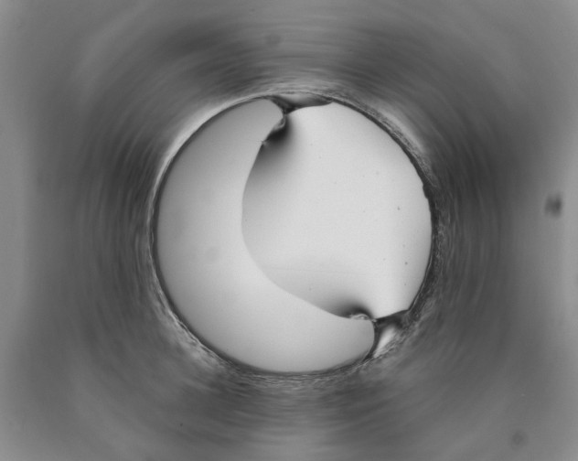 X0000089930948200707271755