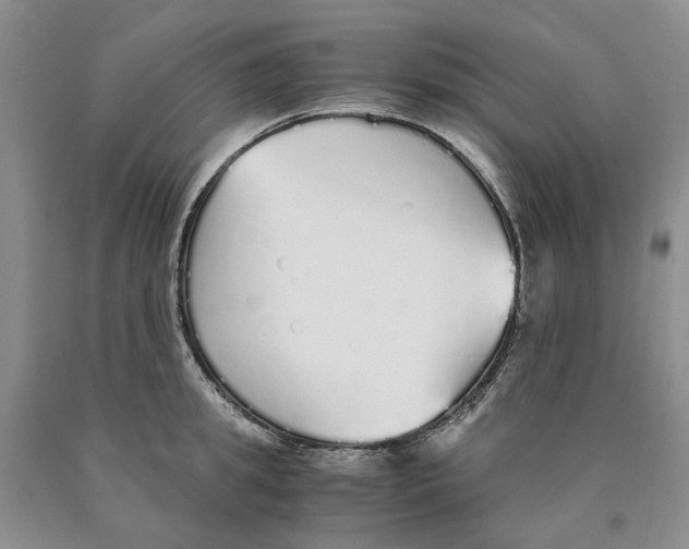 X0000089930949200707271755