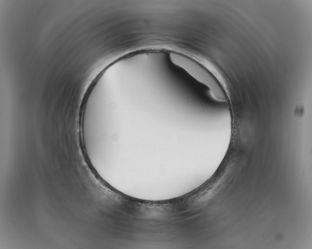 X0000089930951200707271755