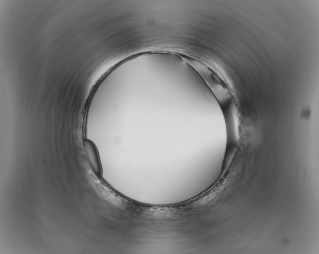 X0000089930952200707271755