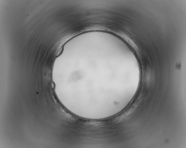 X0000089930953200707271755