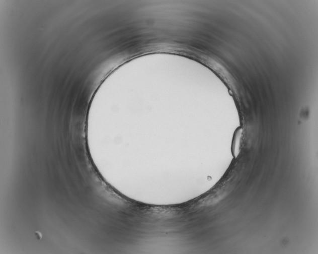 X0000089930954200707271755