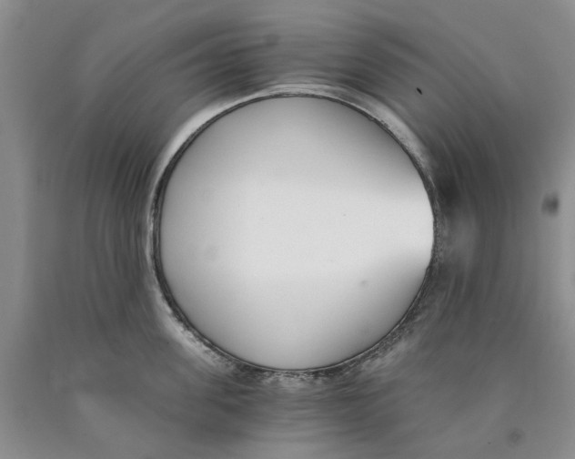 X0000089930955200707271755