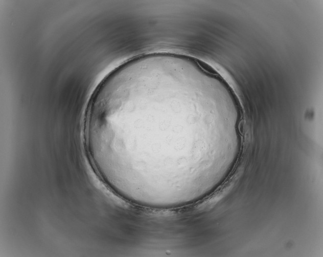 X0000089930957200707271755