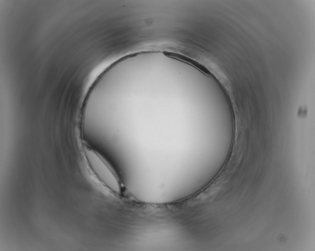 X0000089930960200707271755