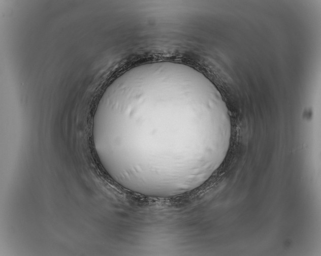 X0000089930961200707271754