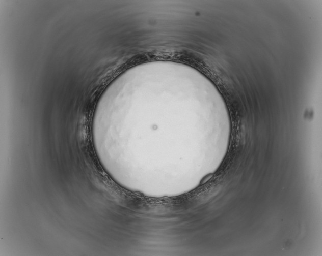 X0000089930962200707271754