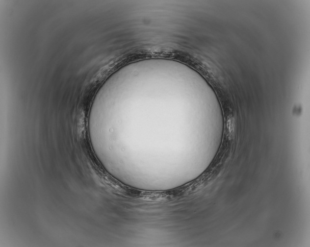 X0000089930963200707271754