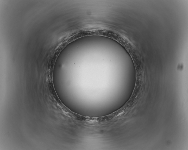 X0000089930965200707271754